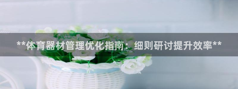 极悦娱乐的背景和历史背景介绍：**体育器材管理优化指