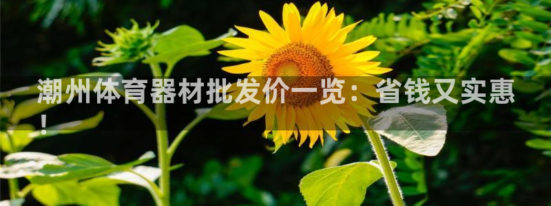 极悦平台注册和登录页面一样吗：潮州体育器材批发价一览