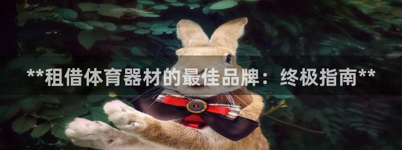 极悦平台：**租借体育器材的最佳品牌：终极指南**