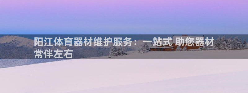 极悦平台官网入口网站：阳江体育器材维护服务：一站式 