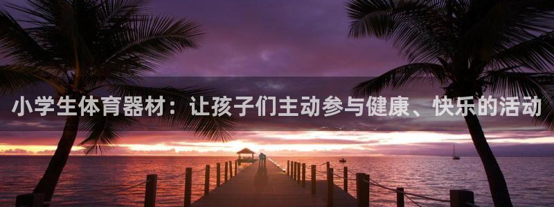 极悦平台注册资金多少钱：小学生体育器材：让孩子们主动