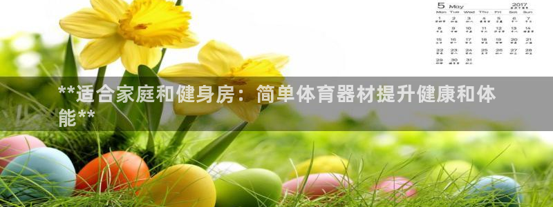 极悦平台官网入口网站：**适合家庭和健身房：简单体育