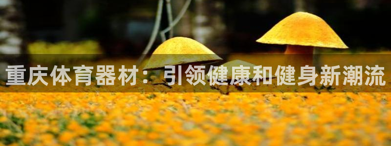 极悦平台是干嘛的软件：重庆体育器材：引领健康和健身新