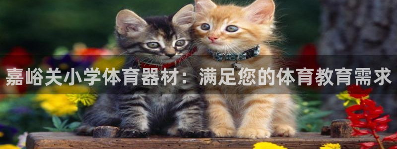 极悦平台使用教程图解：嘉峪关小学体育器材：满足您的体