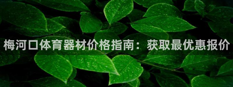 极悦娱乐公司最新招聘信息电话：梅河口体育器材价格指南