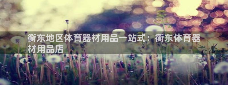 极悦平台app二维码怎么弄出来：衡东地区体育器材用品