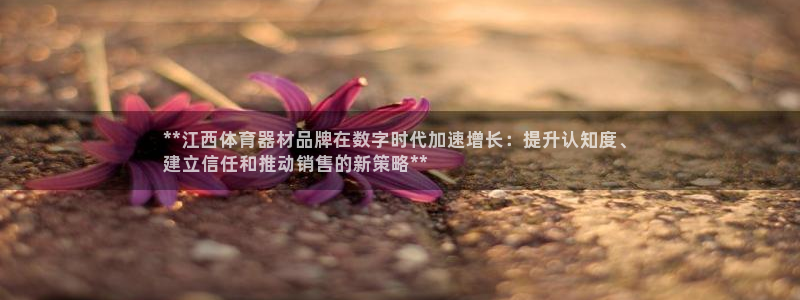 极悦平台注册官网网址：**江西体育器材品牌在数字时代