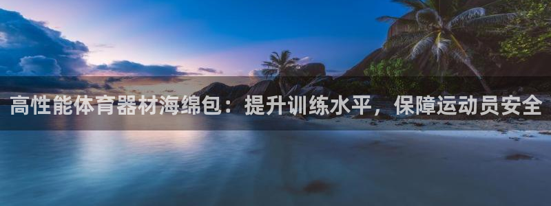 极悦平台注册官方网站下载安装苹果：高性能体育器材海绵