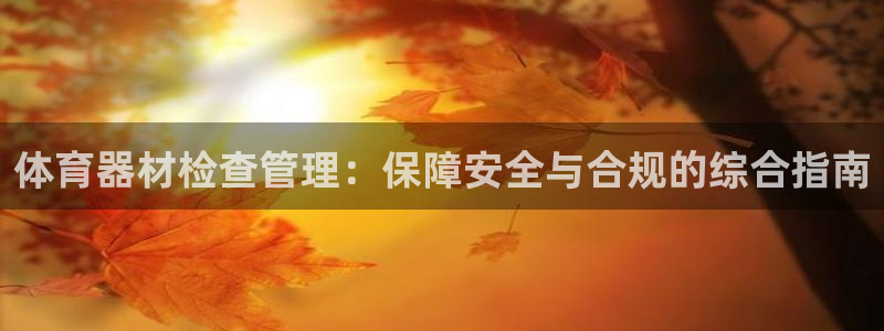 极悦平台是干嘛的：体育器材检查管理：保障安全与合规的