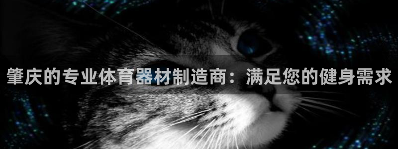 极悦平台官方网站登录：肇庆的专业体育器材制造商：满足