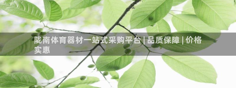 极悦平台的注册流程及注意事项是什么：陇南体育器材一站