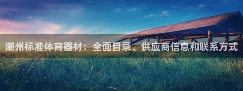 极悦平台注册官方网站下载：潮州标准体育器材：全面目录