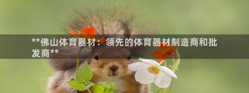 极悦娱乐股东名单：**佛山体育器材：领先的体育器材制