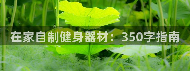 极悦平台app安全吗：在家自制健身器材：350字指南