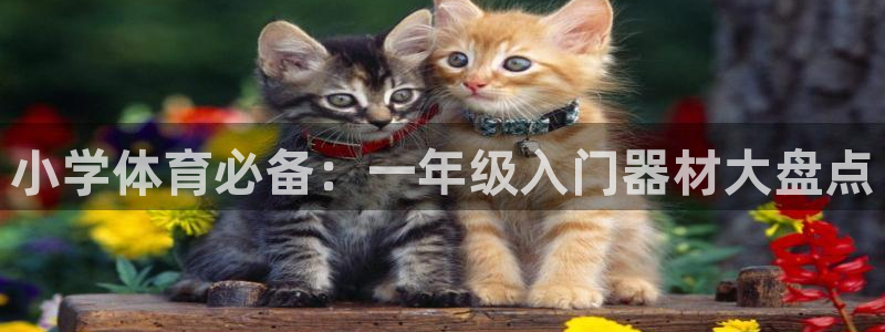 极悦娱乐游戏中心：小学体育必备：一年级入门器材大盘点