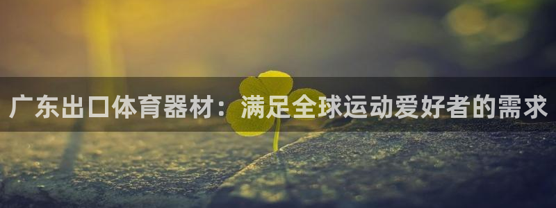 极悦平台官方网站首页登录：广东出口体育器材：满足全球
