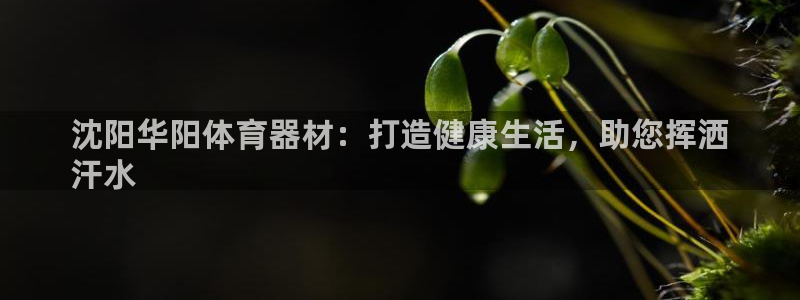 极悦娱乐官网最新版本更新内容是什么：沈阳华阳体育器材