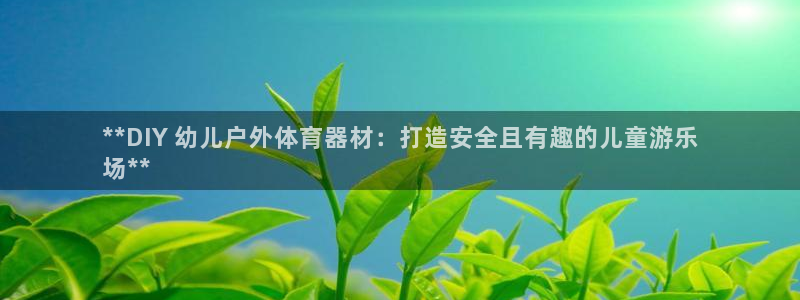 极悦平台注册流程图片：**DIY 幼儿户外体育器材：