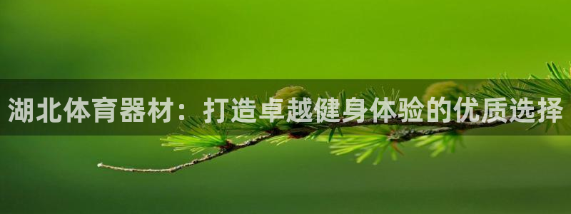 极悦平台官方网址是什么：湖北体育器材：打造卓越健身体验的优质