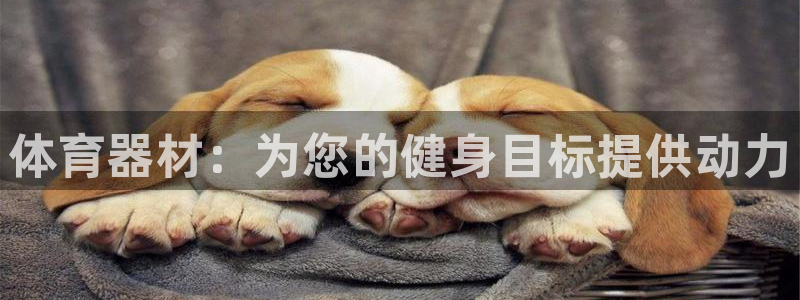 极悦娱乐德711.112扣费说明：体育器材：为您的健