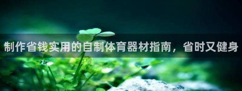 极悦平台官方网站登录不了：制作省钱实用的自制体育器材