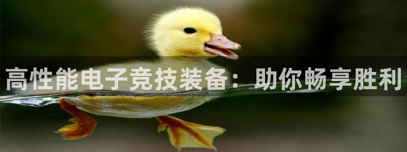 极悦平台注册用户名格式不正确：高性能电子竞技装备：助