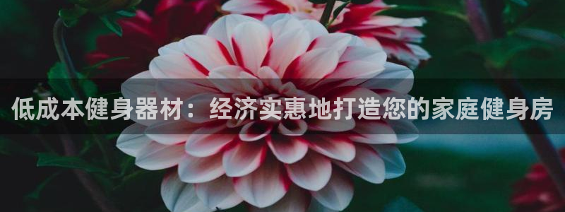 极悦平台和蓝狮平台区别大吗：低成本健身器材：经济实惠