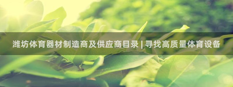 极悦平台官方网址：潍坊体育器材制造商及供应商目录 |