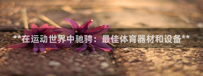 极悦平台很7O777：**在运动世界中驰骋：最佳体育