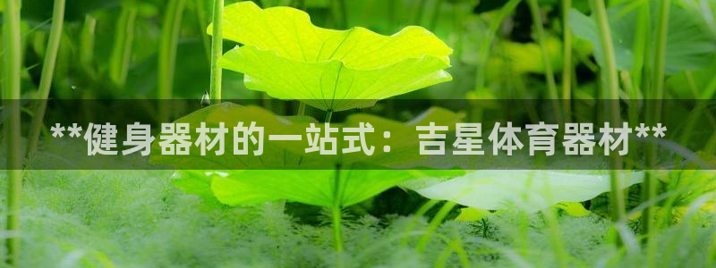 极悦平台注册和登录页面在哪：**健身器材的一站式：吉