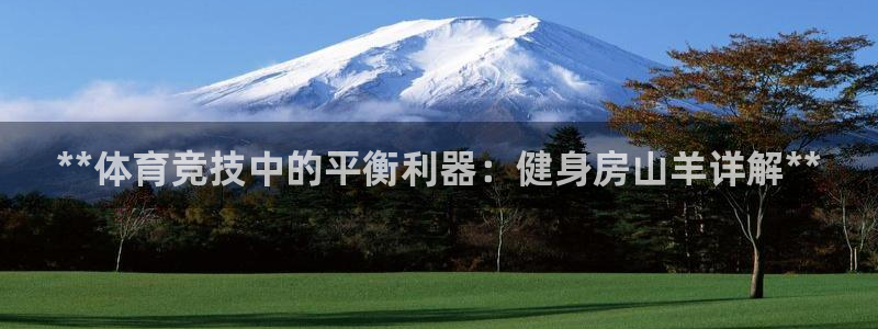 极悦平台注册官方网站下载：**体育竞技中的平衡利器：