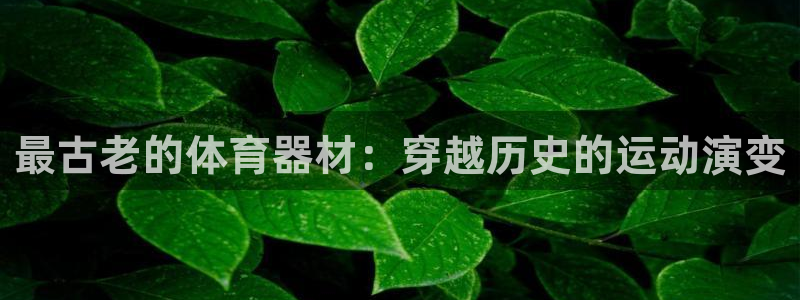 极悦平台官方网站入口：最古老的体育器材：穿越历史的运