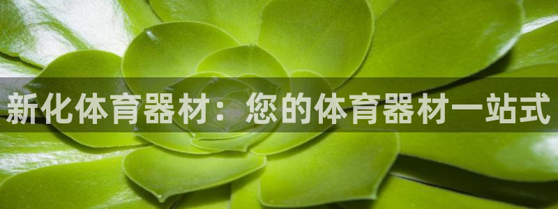 极悦平台是干什么的软件：新化体育器材：您的体育器材一站式