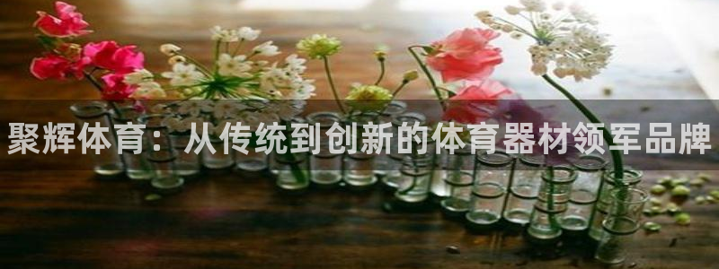 极悦平台是什么平台的