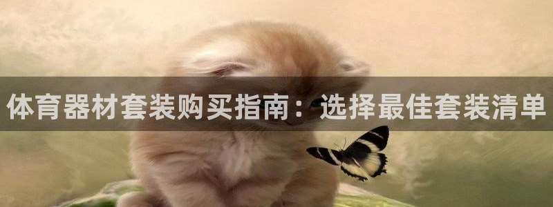 极悦娱乐登录拒绝访问怎么办：体育器材套装购买指南：选择最佳套