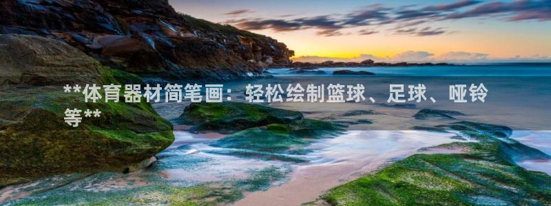 极悦平台用户评价与反馈怎么设置：**体育器材简笔画：