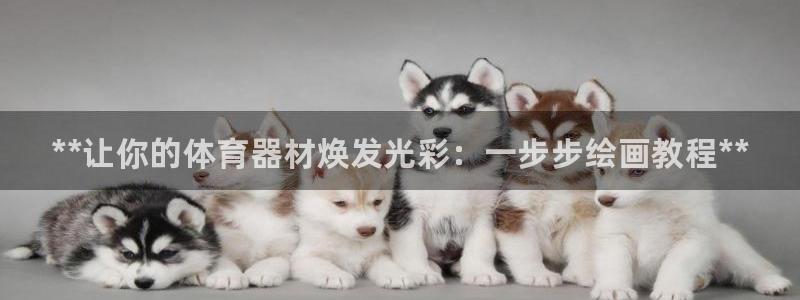 极悦平台使用注意事项