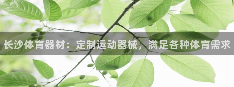 极悦平台代理怎么做的