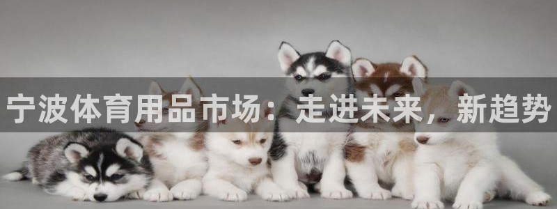 极悦平台注册用户名生成器：宁波体育用品市场：走进未来