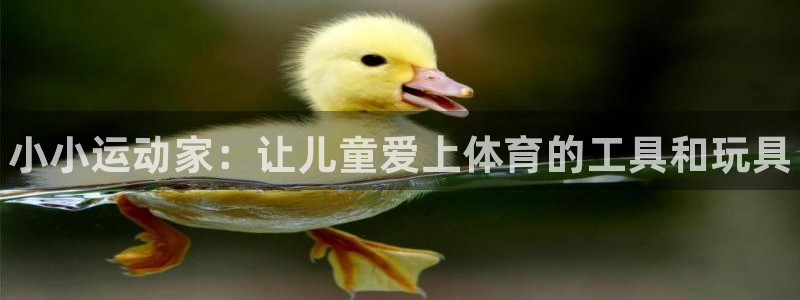 极悦平台官网登录最新版本更新内容介绍：小小运动家：让儿童爱上