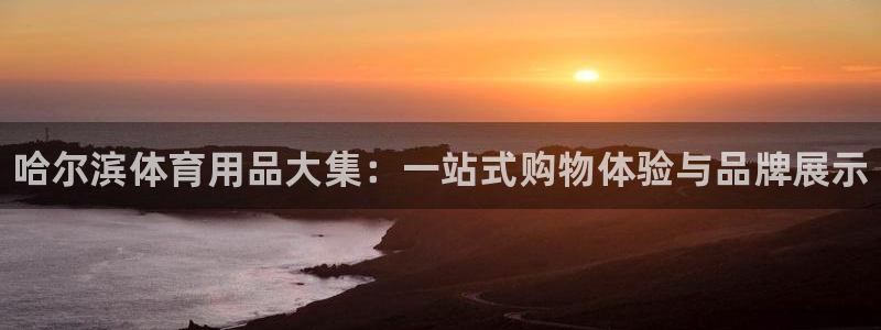 极悦注册：哈尔滨体育用品大集：一站式购物体验与品牌展示