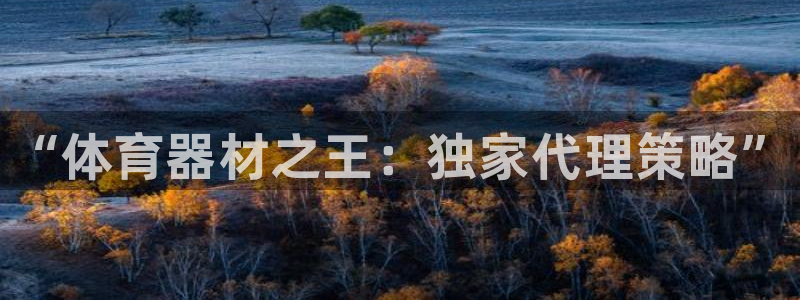 极悦平台app二维码怎么弄：“体育器材之王：独家代理策略”