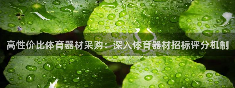 极悦牙膏怎么样：高性价比体育器材采购：深入体育器材招