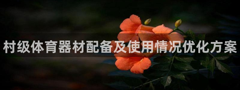 极悦平台官网登录入口：村级体育器材配备及使用情况优化