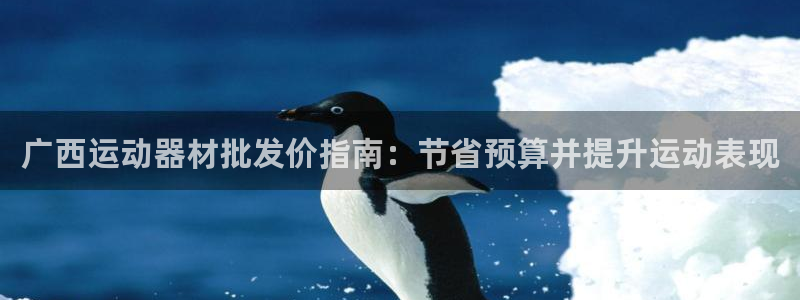 极悦平台官网登录网址是多少：广西运动器材批发价指南：