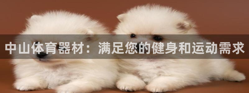 极悦平台代理电话：中山体育器材：满足您的健身和运动需