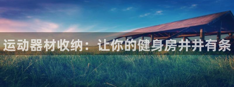 极悦娱乐代理人是谁：运动器材收纳：让你的健身房井井有