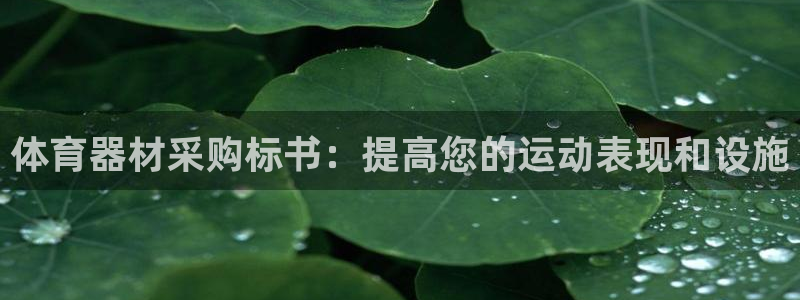 极悦官网注册最新版本更新内容是什么：体育器材采购标书