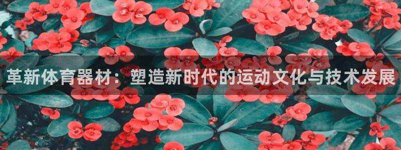 极悦平台官方网站首页下载：革新体育器材：塑造新时代的