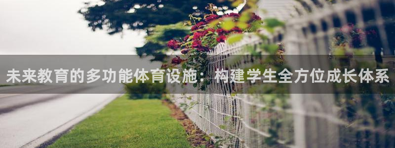 极悦娱乐官网APP下载：未来教育的多功能体育设施：构建学生全